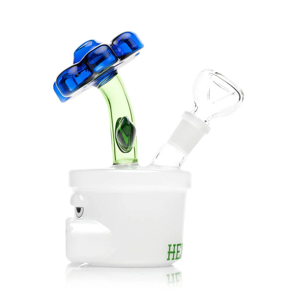 HEMPER Bloom Bong