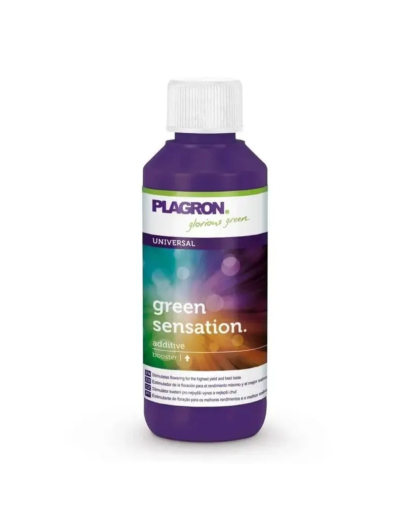 🌸 Plagron Green Sensation – 100 ml