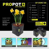 Growbox Set 80x80x180 cm
