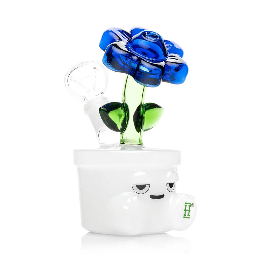 HEMPER Bloom Bong
