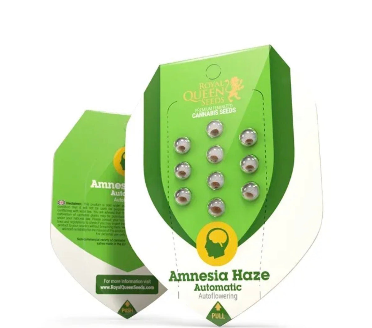 Royal Queen Seeds Amnesia Haze Auto Amnesia x Ruderalis 3 Samen