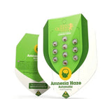 Royal Queen Seeds Amnesia Haze Auto Amnesia x Ruderalis 3 Samen