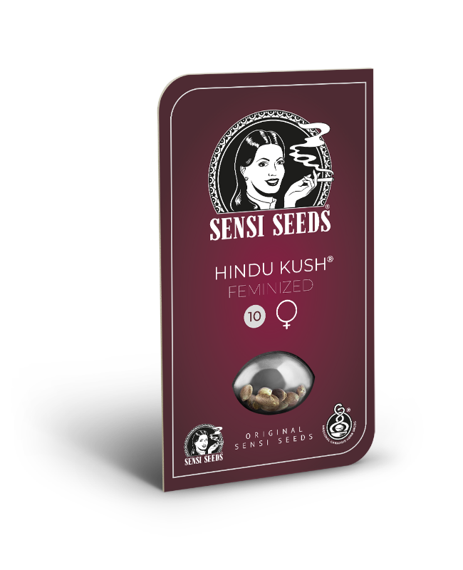Sensi Seeds Hindu Kush Feminisierte Hanfsamen ( 3+1 )